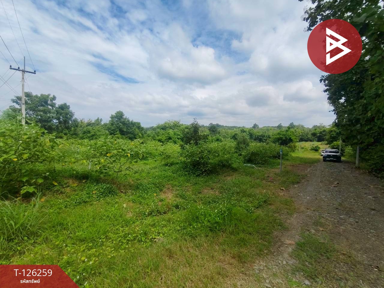 ขายทีดิน เนื้อที่ 5 ไร่ 1 งาน 69 ตร.วา โป่งน้ำร้อน จันทบุรี 9