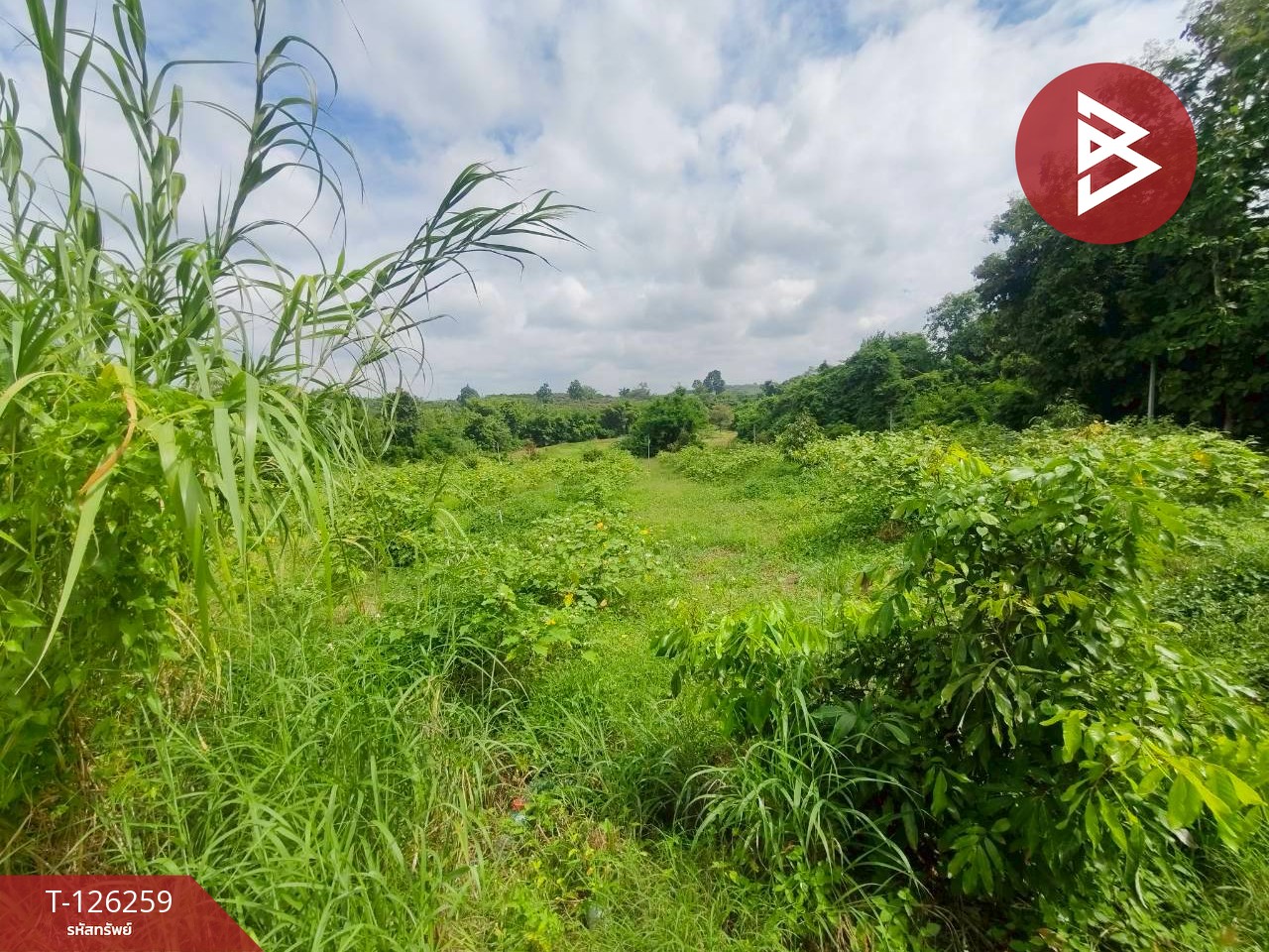 ขายทีดิน เนื้อที่ 5 ไร่ 1 งาน 69 ตร.วา โป่งน้ำร้อน จันทบุรี 12