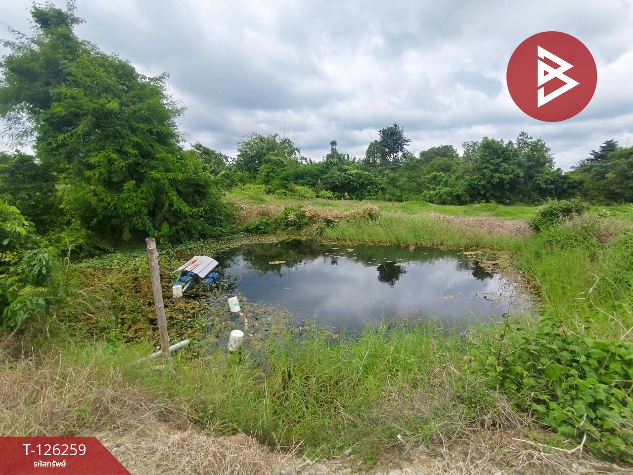 ขายทีดิน เนื้อที่ 5 ไร่ 1 งาน 69 ตร.วา โป่งน้ำร้อน จันทบุรี 8