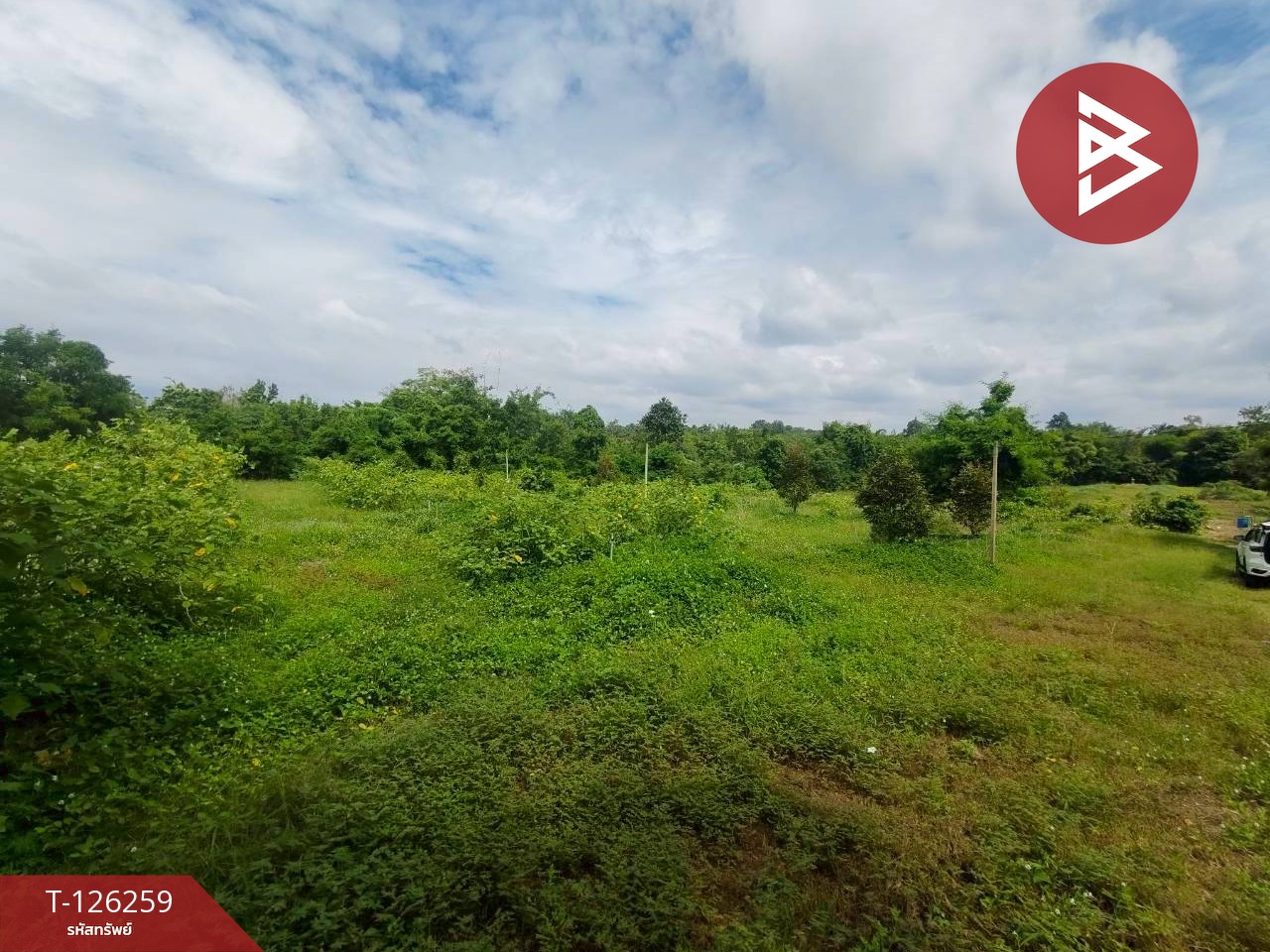 ขายทีดิน เนื้อที่ 5 ไร่ 1 งาน 69 ตร.วา โป่งน้ำร้อน จันทบุรี 11