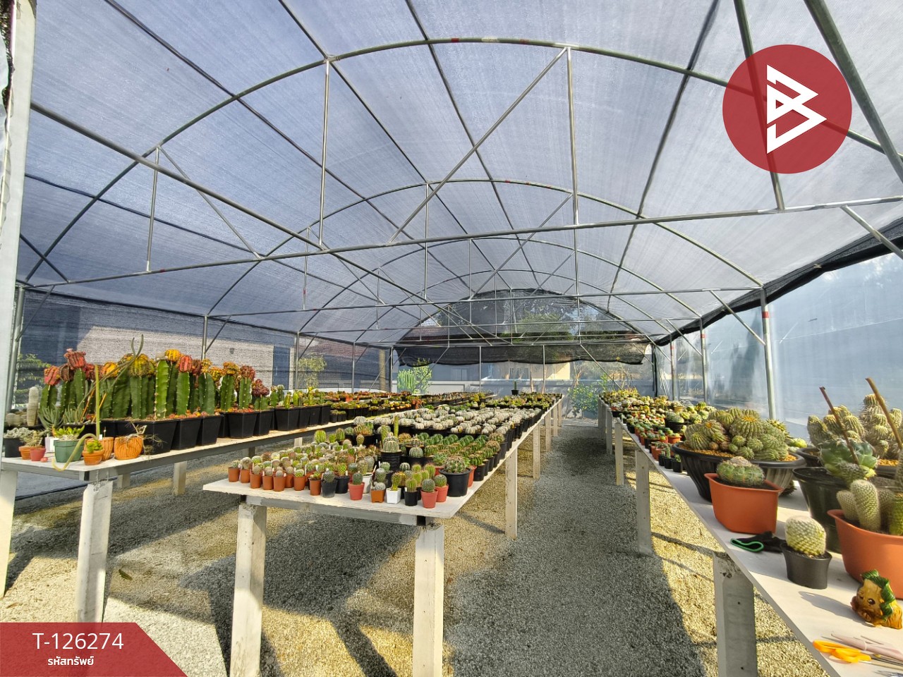 ขายบ้านเดี่ยวพร้อมที่ดิน เนื้อที่ 2 งาน บ้านฉาง ระยอง 15