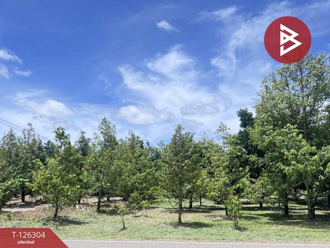 ขายที่ดิน เนื้อที่ 1 ไร่ 2 งาน 37 ตารางวา ท่าใหม่ จันทบุรี 2