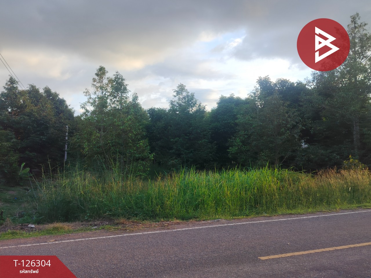 ขายที่ดิน เนื้อที่ 1 ไร่ 2 งาน 37 ตารางวา ท่าใหม่ จันทบุรี 9