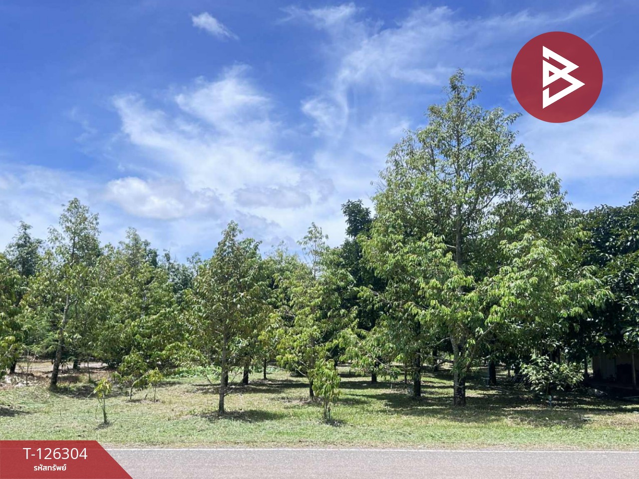 ขายที่ดิน เนื้อที่ 1 ไร่ 2 งาน 37 ตารางวา ท่าใหม่ จันทบุรี 5