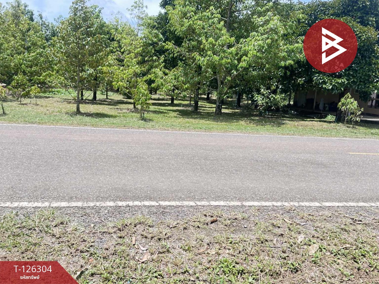 ขายที่ดิน เนื้อที่ 1 ไร่ 2 งาน 37 ตารางวา ท่าใหม่ จันทบุรี 3