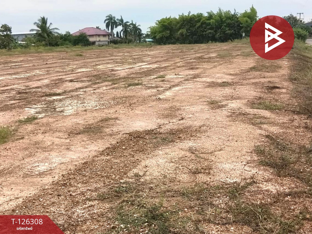 ขายที่ดินเปล่า เนื้อที่ 7 ไร่ 1 งาน 53 ตร.วา ไพศาลี นครสวรรค์ 8