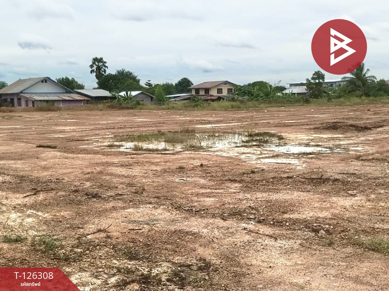 ขายที่ดินเปล่า เนื้อที่ 7 ไร่ 1 งาน 53 ตร.วา ไพศาลี นครสวรรค์ 10