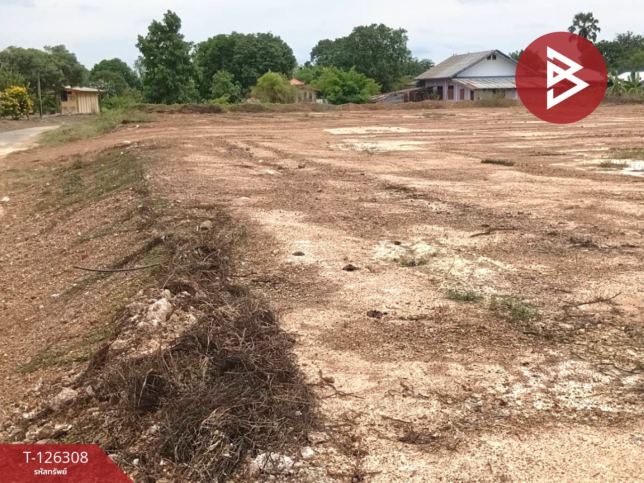 ขายที่ดินเปล่า เนื้อที่ 7 ไร่ 1 งาน 53 ตร.วา ไพศาลี นครสวรรค์ 6