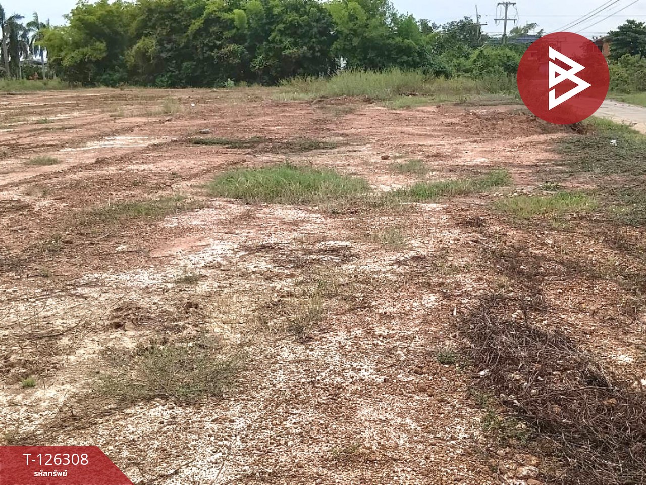 ขายที่ดินเปล่า เนื้อที่ 7 ไร่ 1 งาน 53 ตร.วา ไพศาลี นครสวรรค์ 9