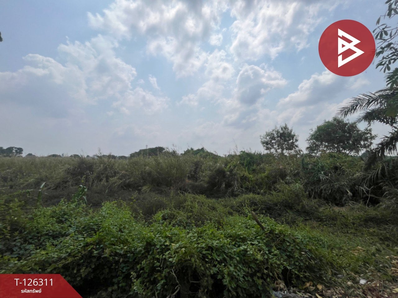 ขายที่ดิน เนื้อที่ 14 ไร่ 3 งาน 32 ตร.วา บางพลี สมุทรปราการ 7