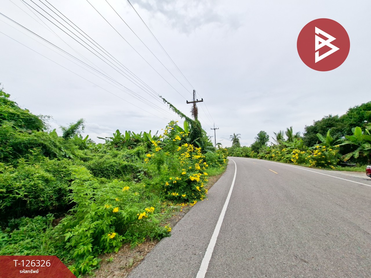 ขายที่ดิน เนื้อที่ 3 ไร่ 2 งาน 80 ตร.วา บ้านมะเกลือ นครสวรรค์ 6