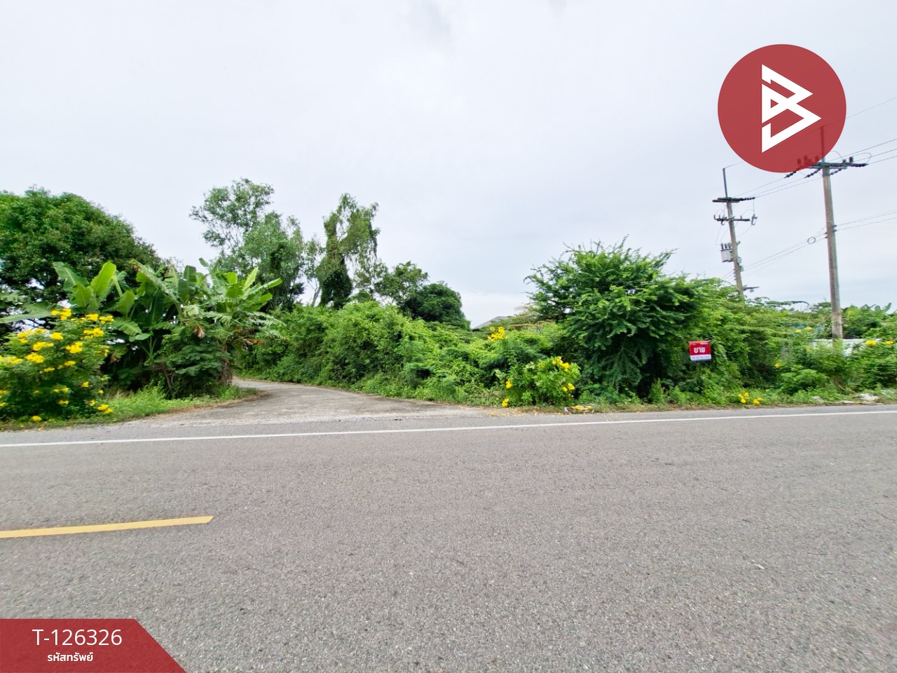 ขายที่ดิน เนื้อที่ 3 ไร่ 2 งาน 80 ตร.วา บ้านมะเกลือ นครสวรรค์ 3