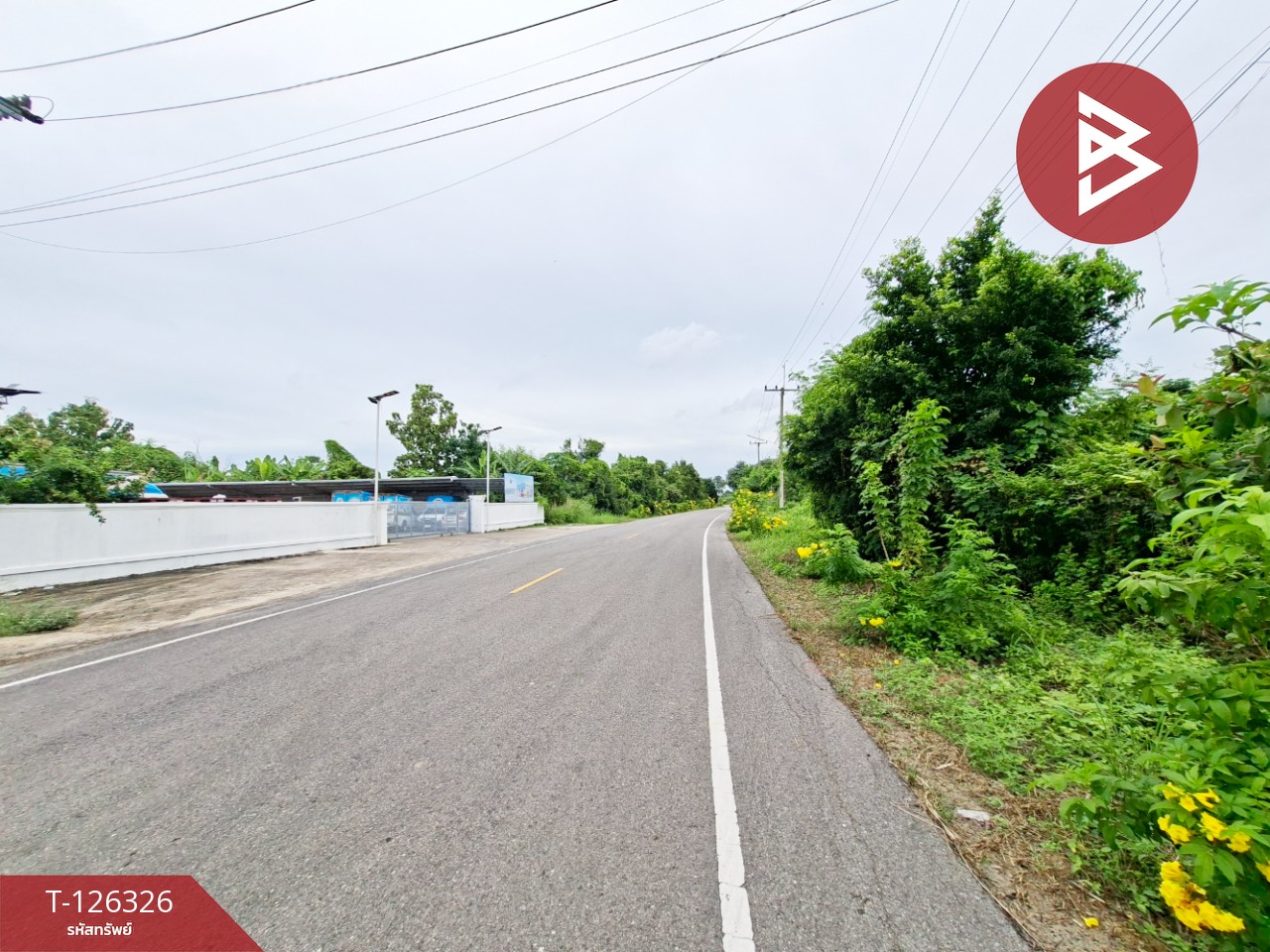 ขายที่ดิน เนื้อที่ 3 ไร่ 2 งาน 80 ตร.วา บ้านมะเกลือ นครสวรรค์ 5