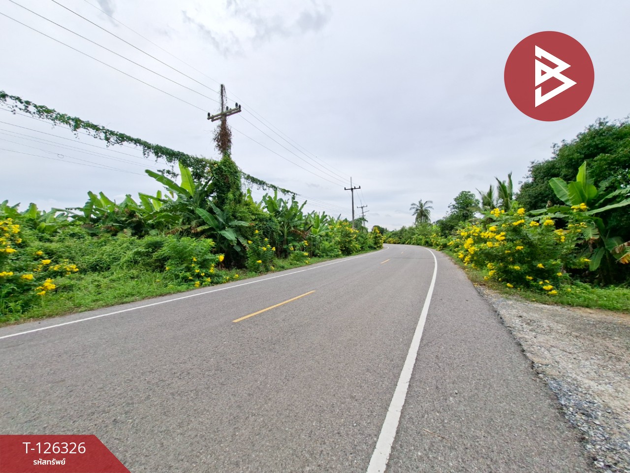 ขายที่ดิน เนื้อที่ 3 ไร่ 2 งาน 80 ตร.วา บ้านมะเกลือ นครสวรรค์ 4