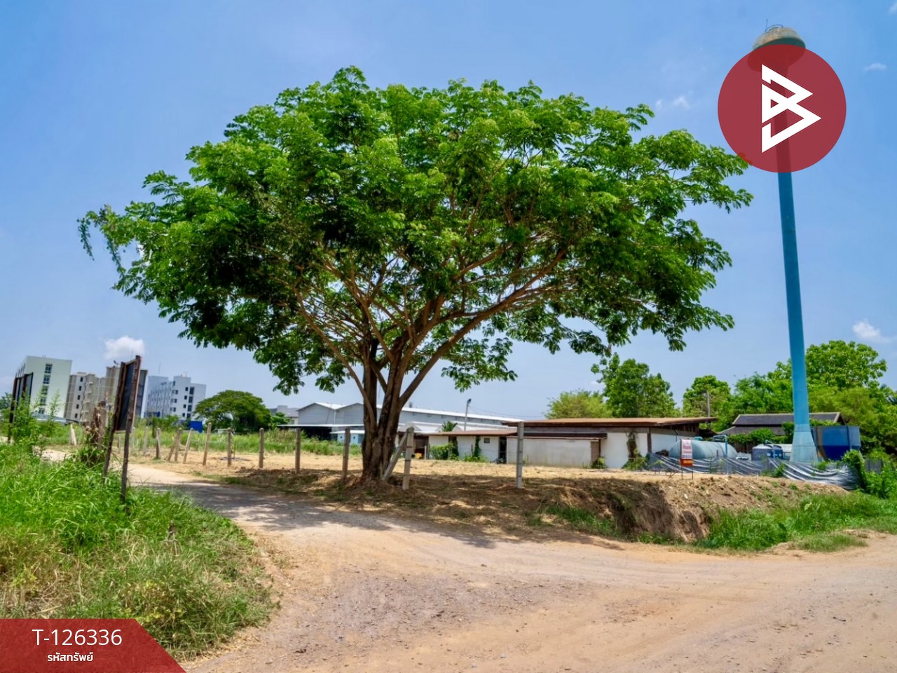 ขายที่ดิน เนื้อที่ 3 งาน 27.9 ตร.วา วัดจันทร์ พิษณุโลก 6