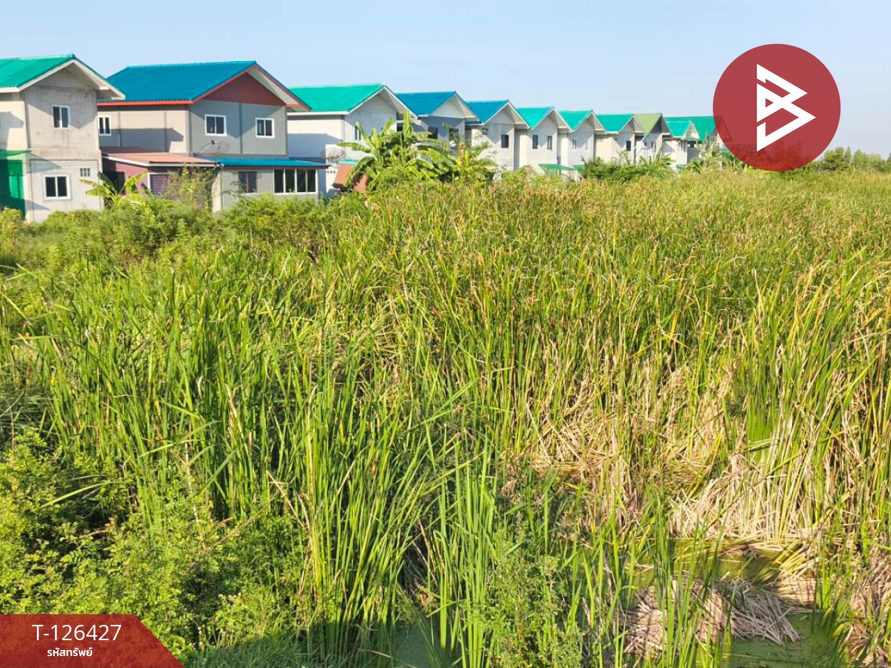 ขายที่ดินเปล่า 2 ไร่ ตำบลบางหลวง อำเภอบางเลน จังหวัดนครปฐม 15