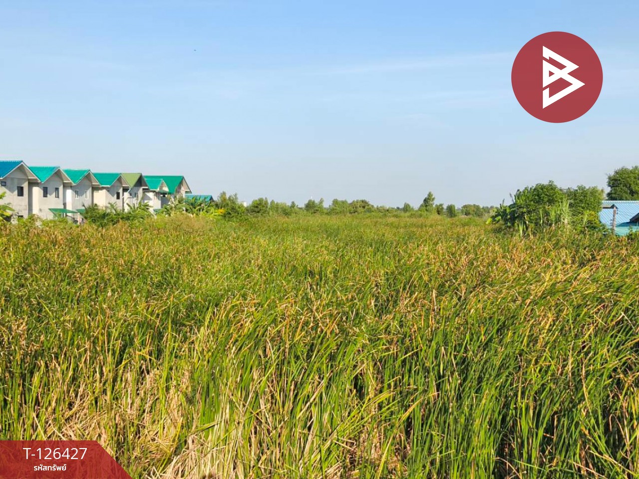 ขายที่ดินเปล่า 2 ไร่ ตำบลบางหลวง อำเภอบางเลน จังหวัดนครปฐม 13