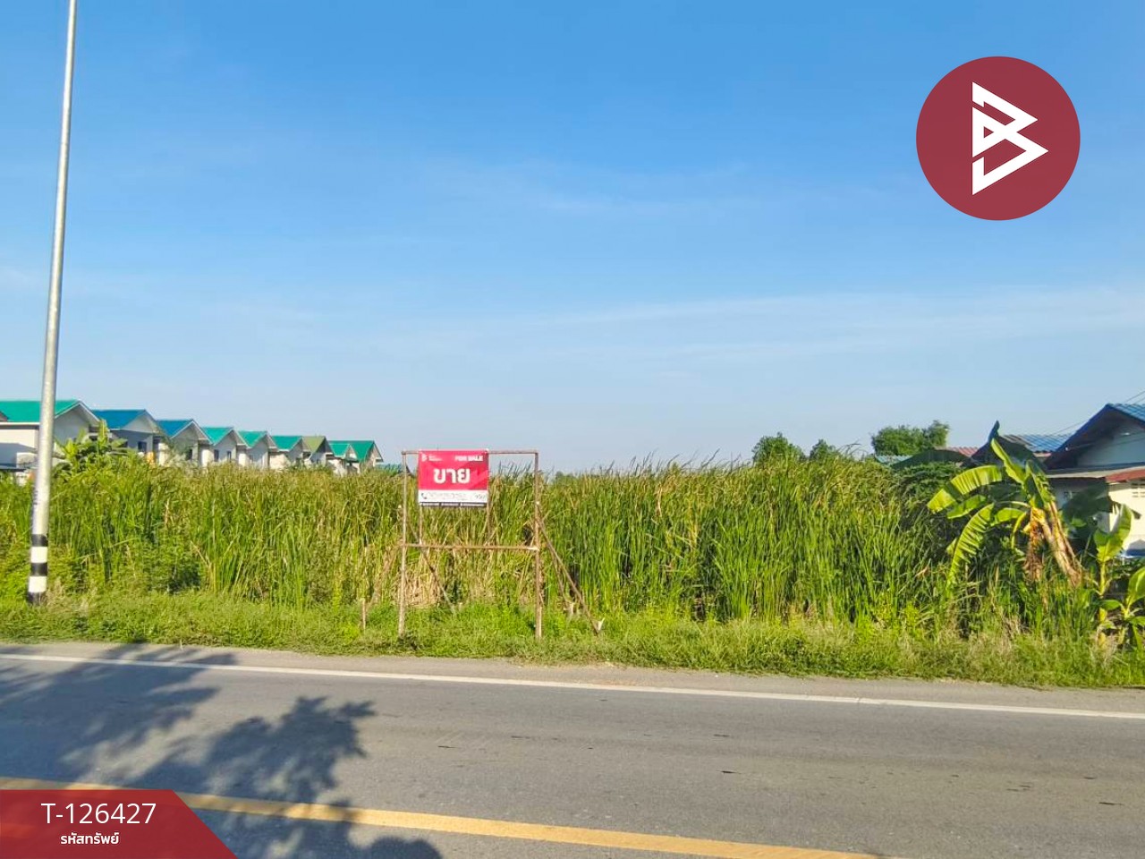 ขายที่ดินเปล่า 2 ไร่ ตำบลบางหลวง อำเภอบางเลน จังหวัดนครปฐม 2