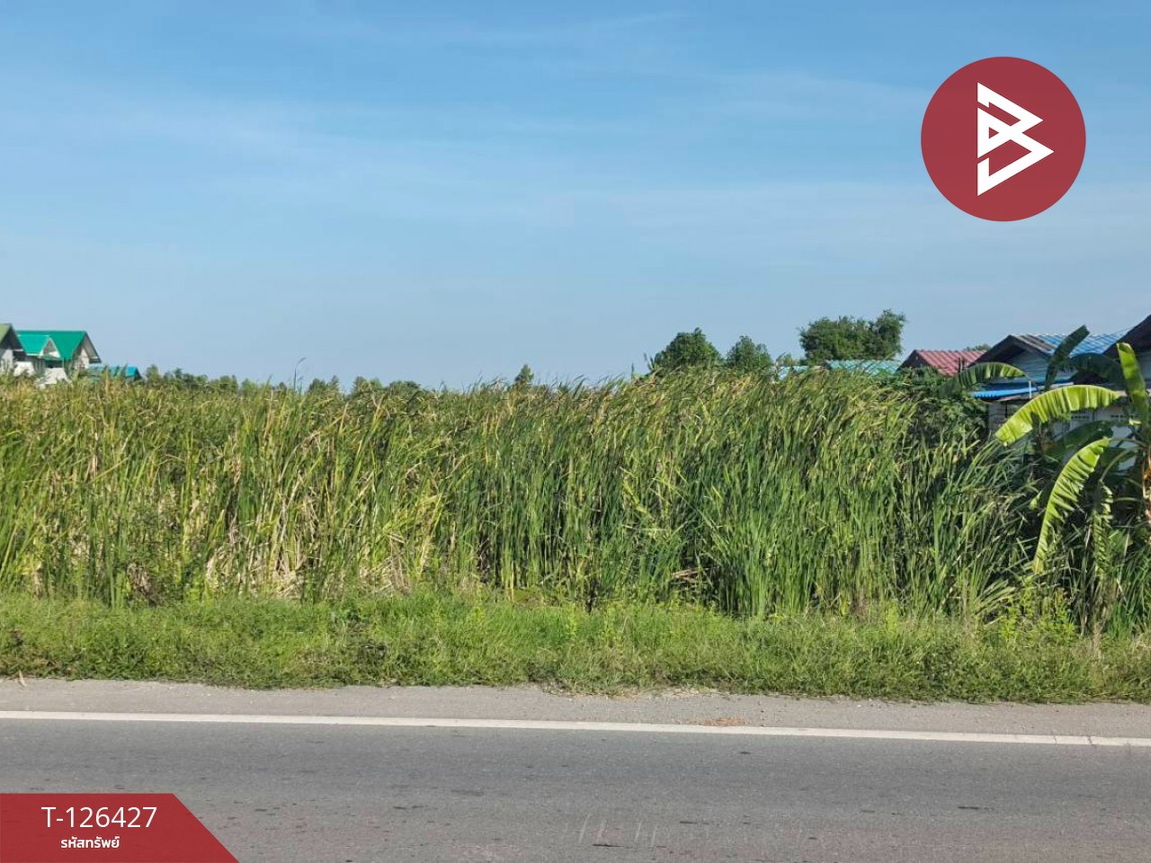 ขายที่ดินเปล่า 2 ไร่ ตำบลบางหลวง อำเภอบางเลน จังหวัดนครปฐม 8