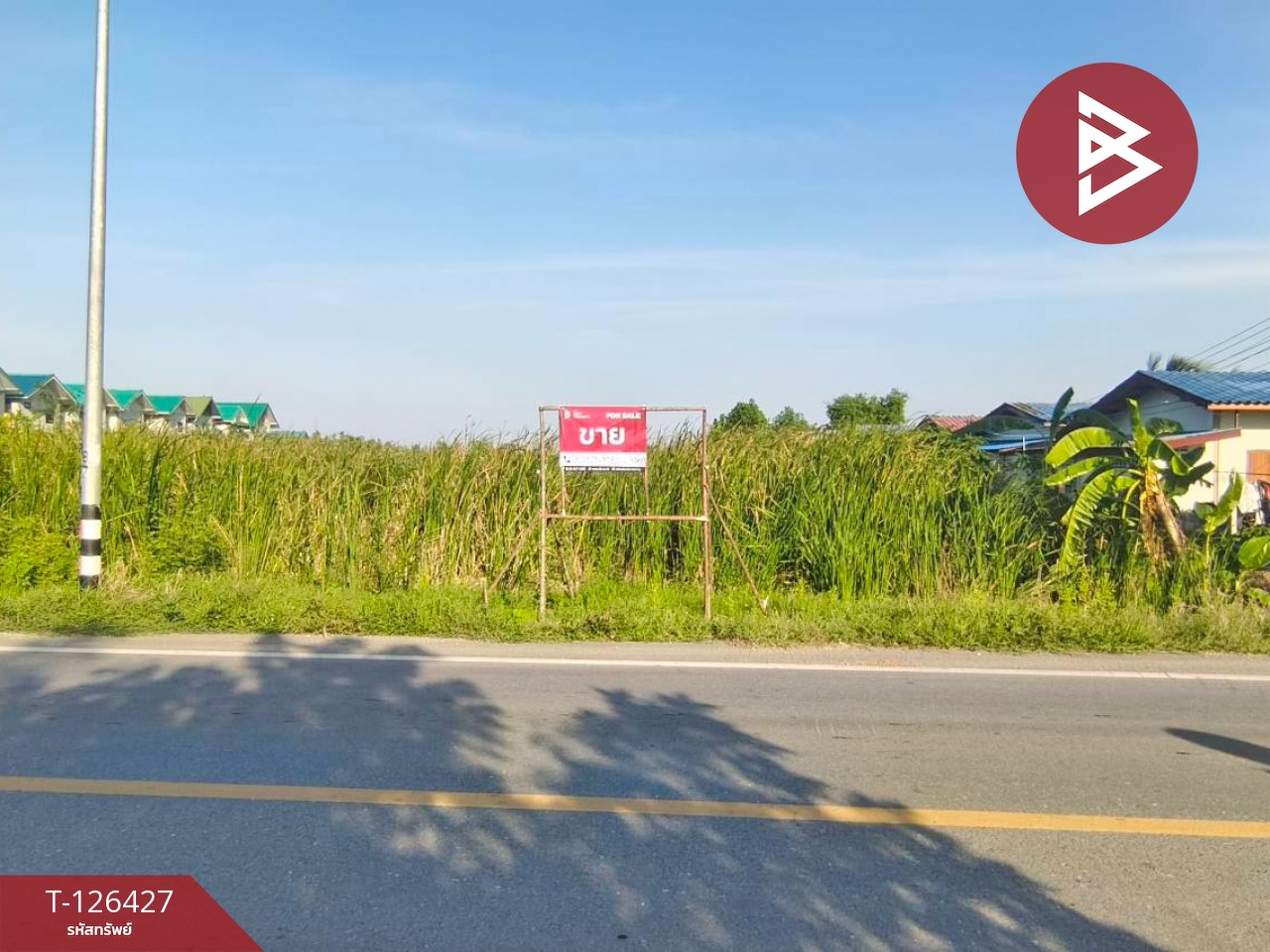 ขายที่ดินเปล่า 2 ไร่ ตำบลบางหลวง อำเภอบางเลน จังหวัดนครปฐม 1