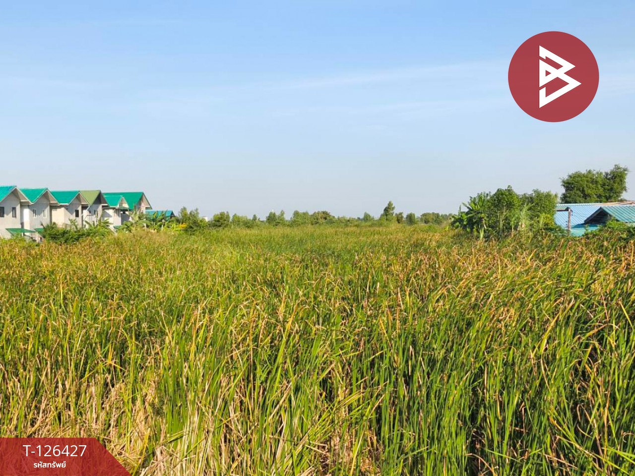 ขายที่ดินเปล่า 2 ไร่ ตำบลบางหลวง อำเภอบางเลน จังหวัดนครปฐม 11