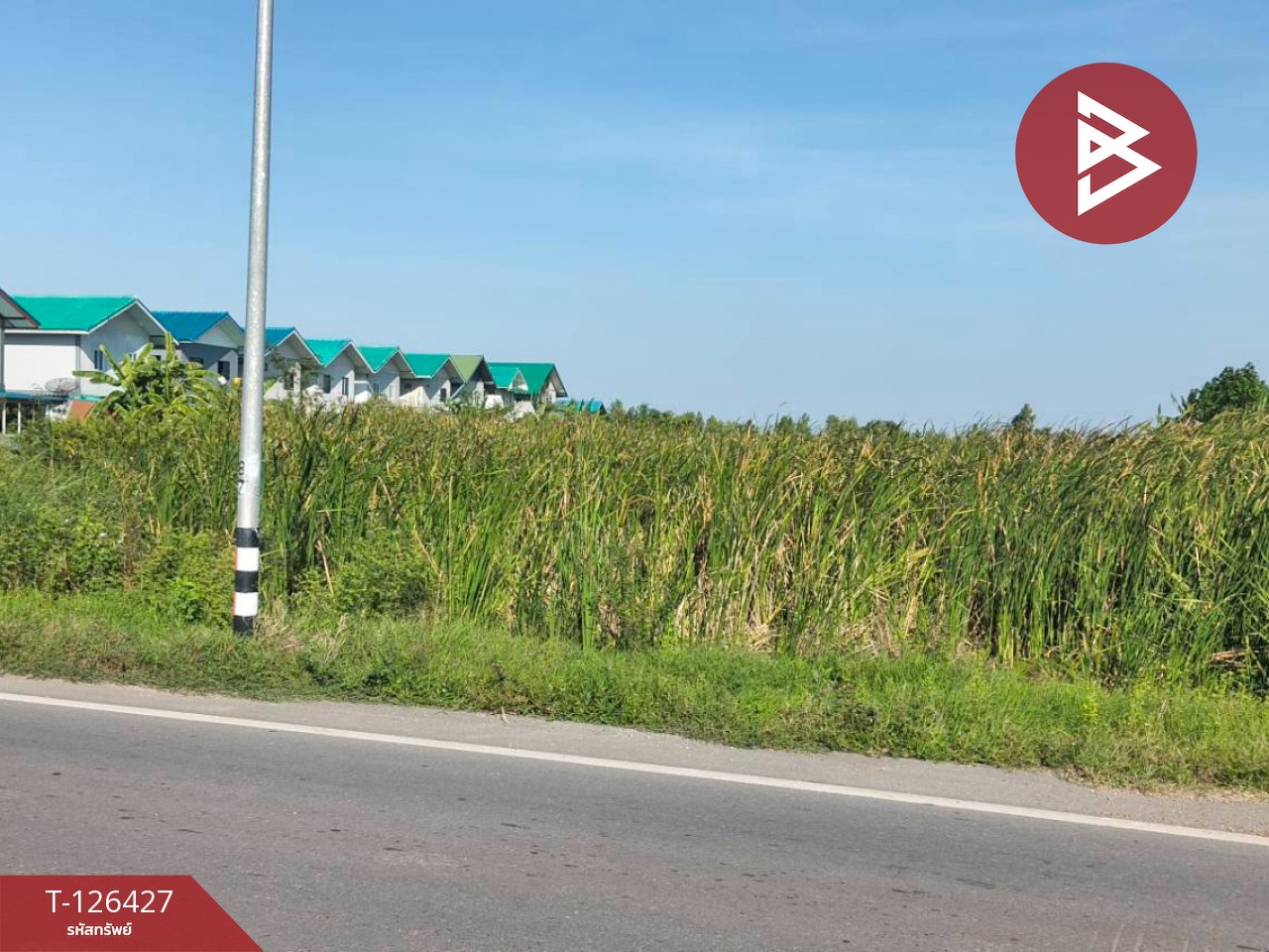 ขายที่ดินเปล่า 2 ไร่ ตำบลบางหลวง อำเภอบางเลน จังหวัดนครปฐม 7