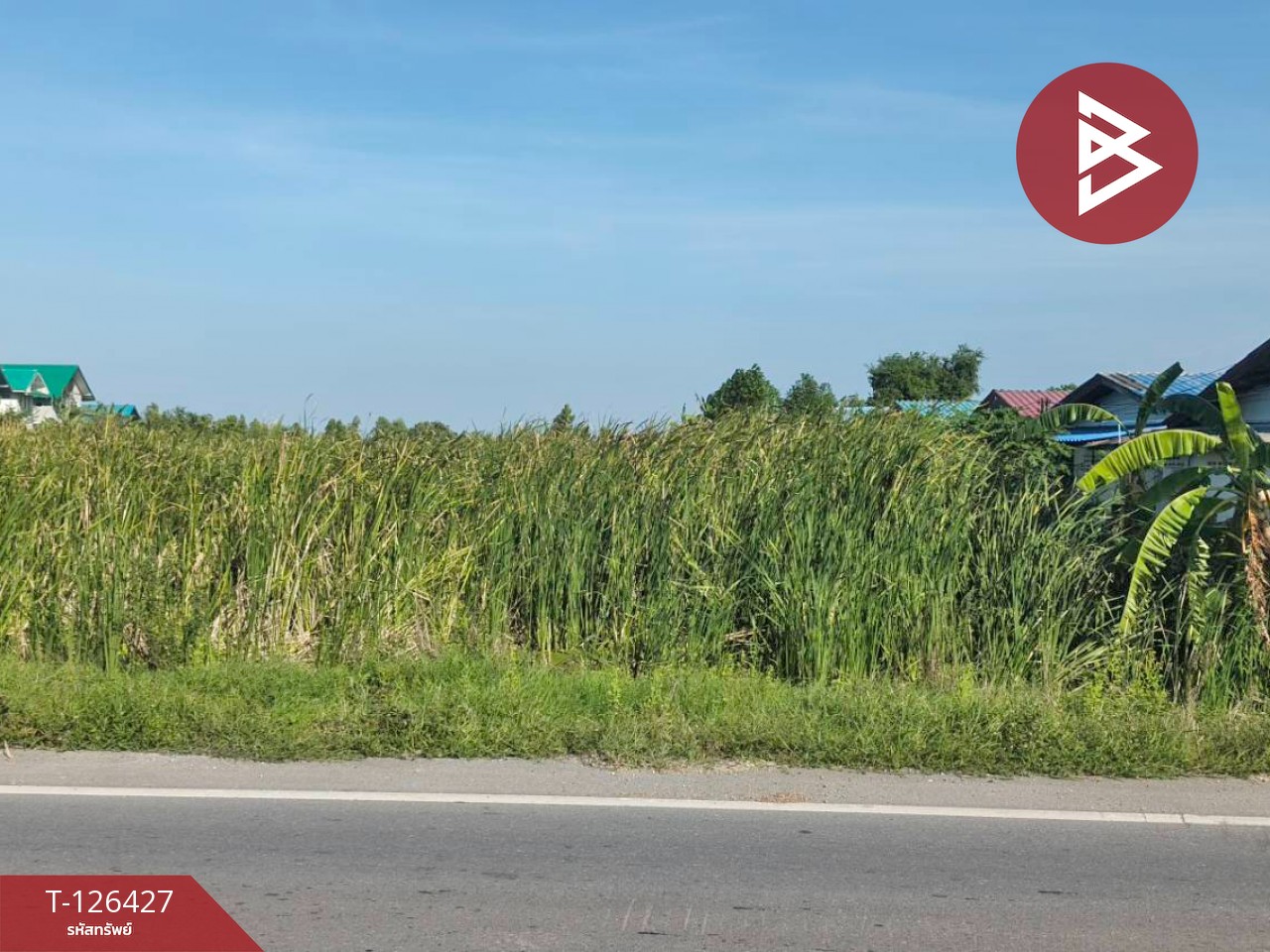 ขายที่ดินเปล่า 2 ไร่ ตำบลบางหลวง อำเภอบางเลน จังหวัดนครปฐม 5