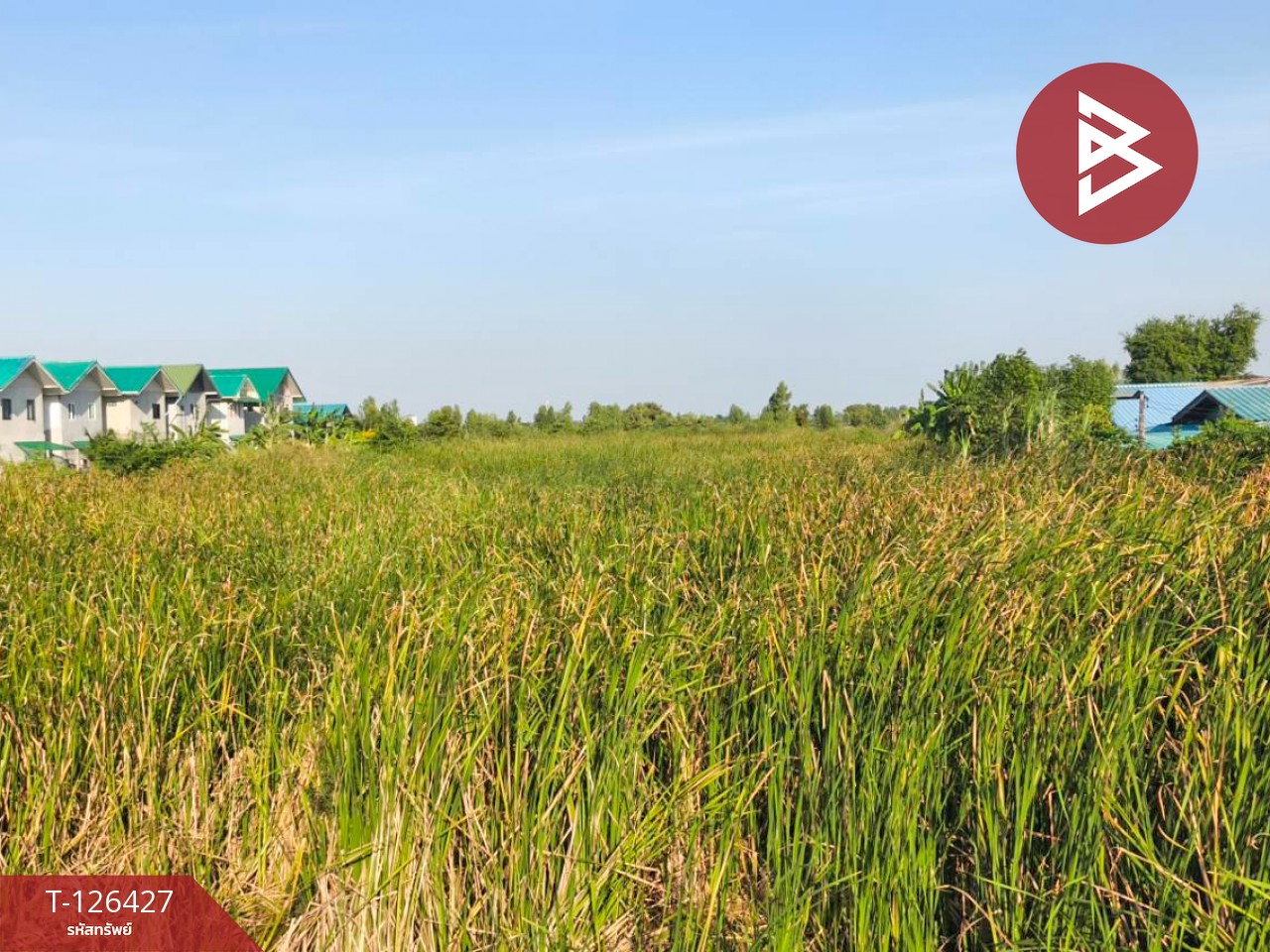 ขายที่ดินเปล่า 2 ไร่ ตำบลบางหลวง อำเภอบางเลน จังหวัดนครปฐม 10