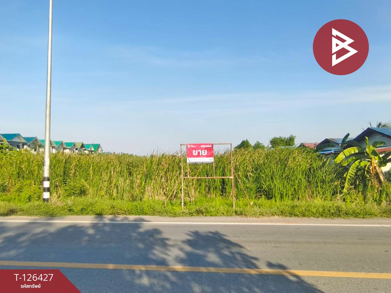 ขายที่ดินเปล่า 2 ไร่ ตำบลบางหลวง อำเภอบางเลน จังหวัดนครปฐม 3