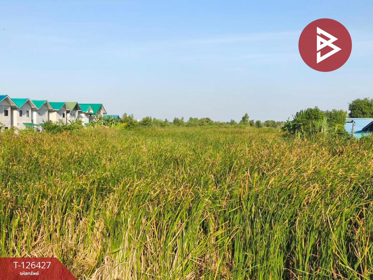 ขายที่ดินเปล่า 2 ไร่ ตำบลบางหลวง อำเภอบางเลน จังหวัดนครปฐม 12