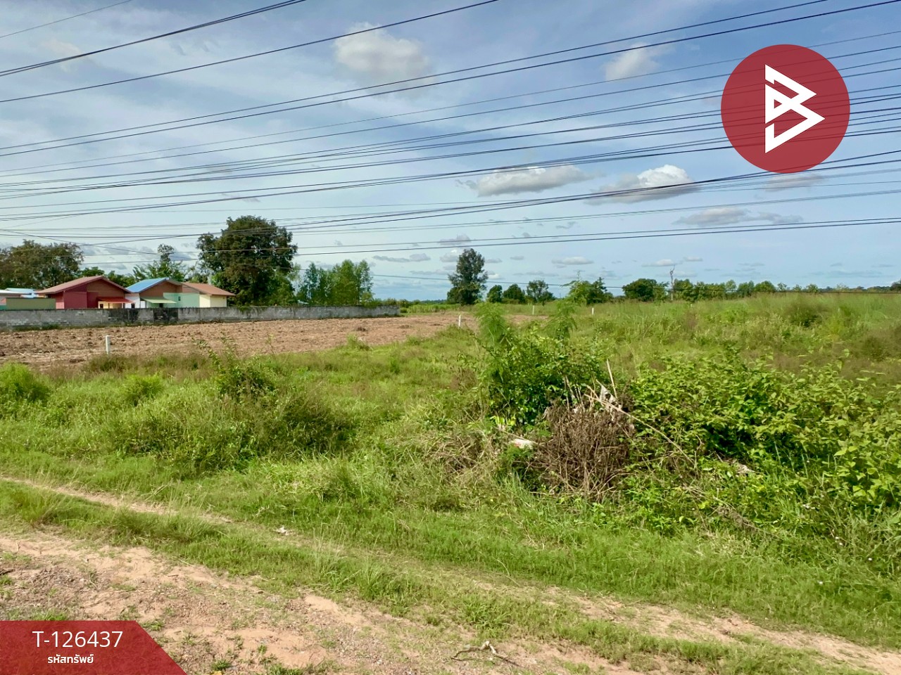 ขายที่ดิน ทางหลวงหมายเลข 23 เนื้อที่ 9 ไร่ 2 งาน 40 ตร.วา บ้านไผ่ ขอนแก่น 2