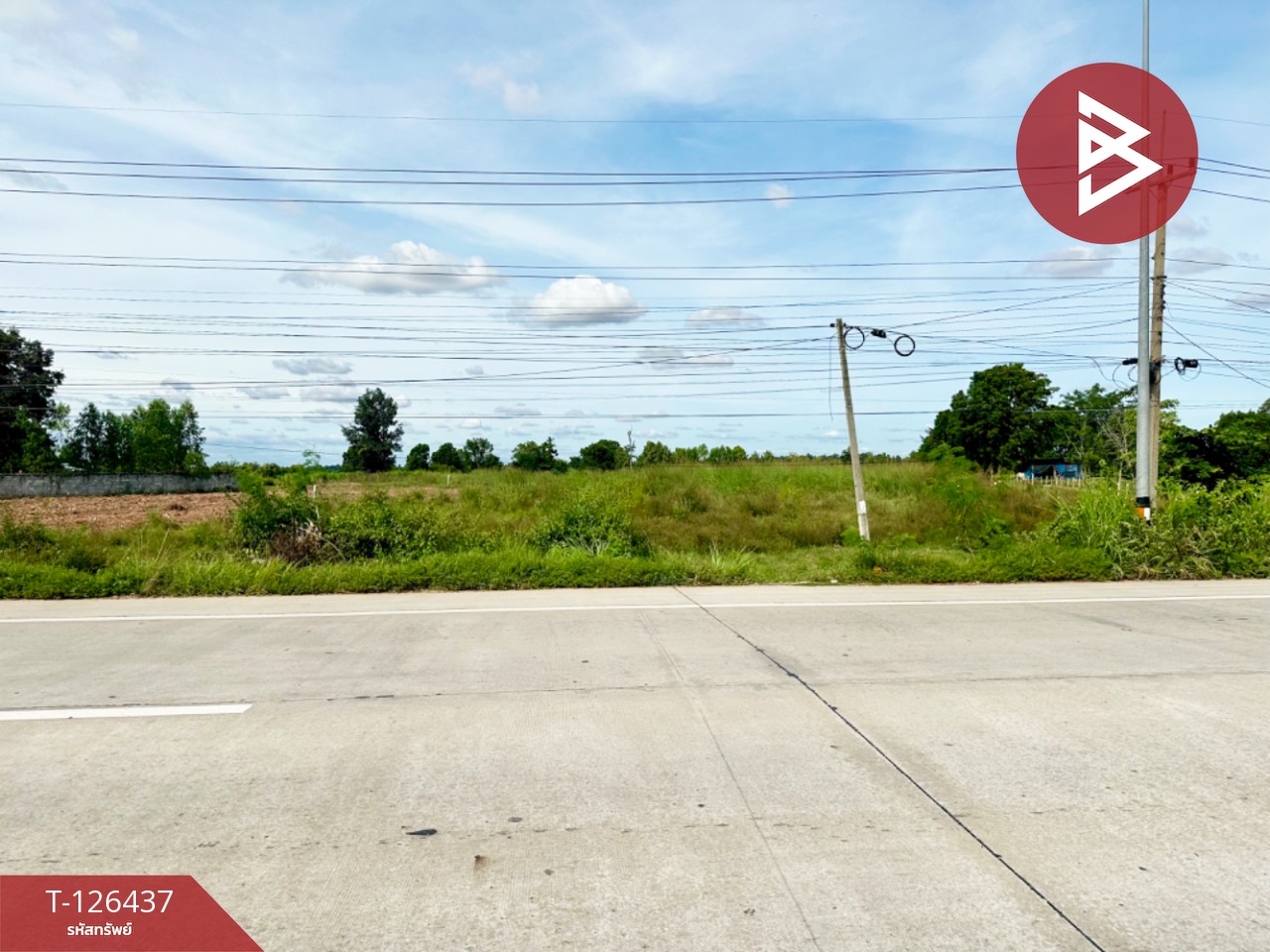 ขายที่ดิน ทางหลวงหมายเลข 23 เนื้อที่ 9 ไร่ 2 งาน 40 ตร.วา บ้านไผ่ ขอนแก่น 9