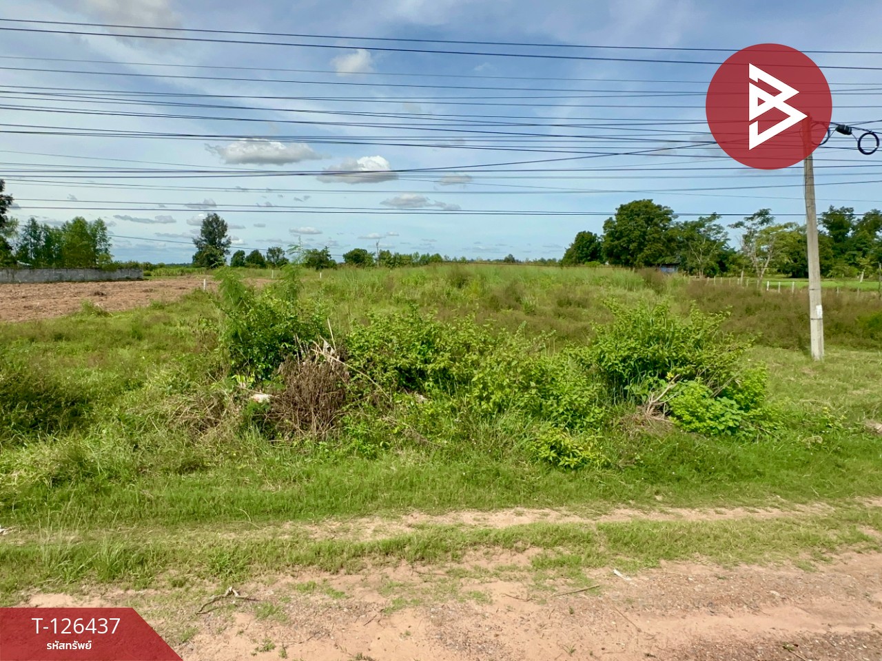 ขายที่ดิน ทางหลวงหมายเลข 23 เนื้อที่ 9 ไร่ 2 งาน 40 ตร.วา บ้านไผ่ ขอนแก่น 3