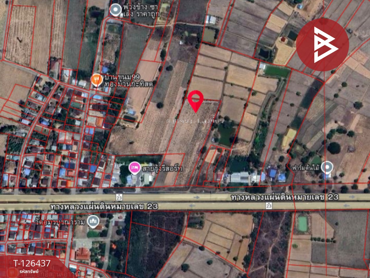 ขายที่ดิน ทางหลวงหมายเลข 23 เนื้อที่ 9 ไร่ 2 งาน 40 ตร.วา บ้านไผ่ ขอนแก่น 10