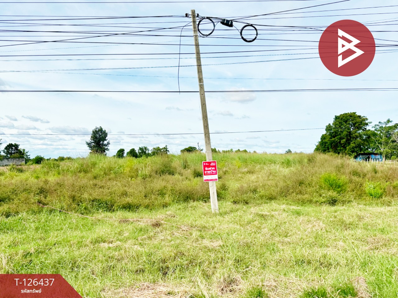 ขายที่ดิน ทางหลวงหมายเลข 23 เนื้อที่ 9 ไร่ 2 งาน 40 ตร.วา บ้านไผ่ ขอนแก่น 1