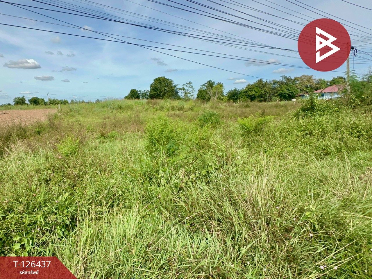 ขายที่ดิน ทางหลวงหมายเลข 23 เนื้อที่ 9 ไร่ 2 งาน 40 ตร.วา บ้านไผ่ ขอนแก่น 4