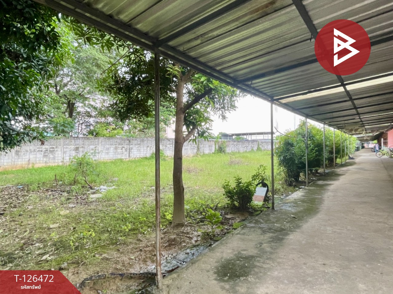 ขายหอพักชั้นเดียว เนื้อที่ 2 ไร่ 2 งาน 3 ตร.วา พิษณุโลก ทำเลดีติดมหาลัย 13