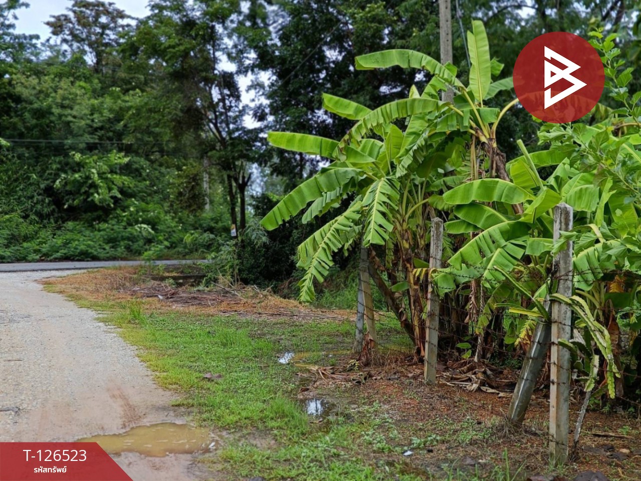 ขายที่ดินพร้อมสิ่งปลูกสร้าง เนื้อที่ 2 ไร่ 3 งาน 50 ตร.วา หนองฉาง อุทัยธานี 10