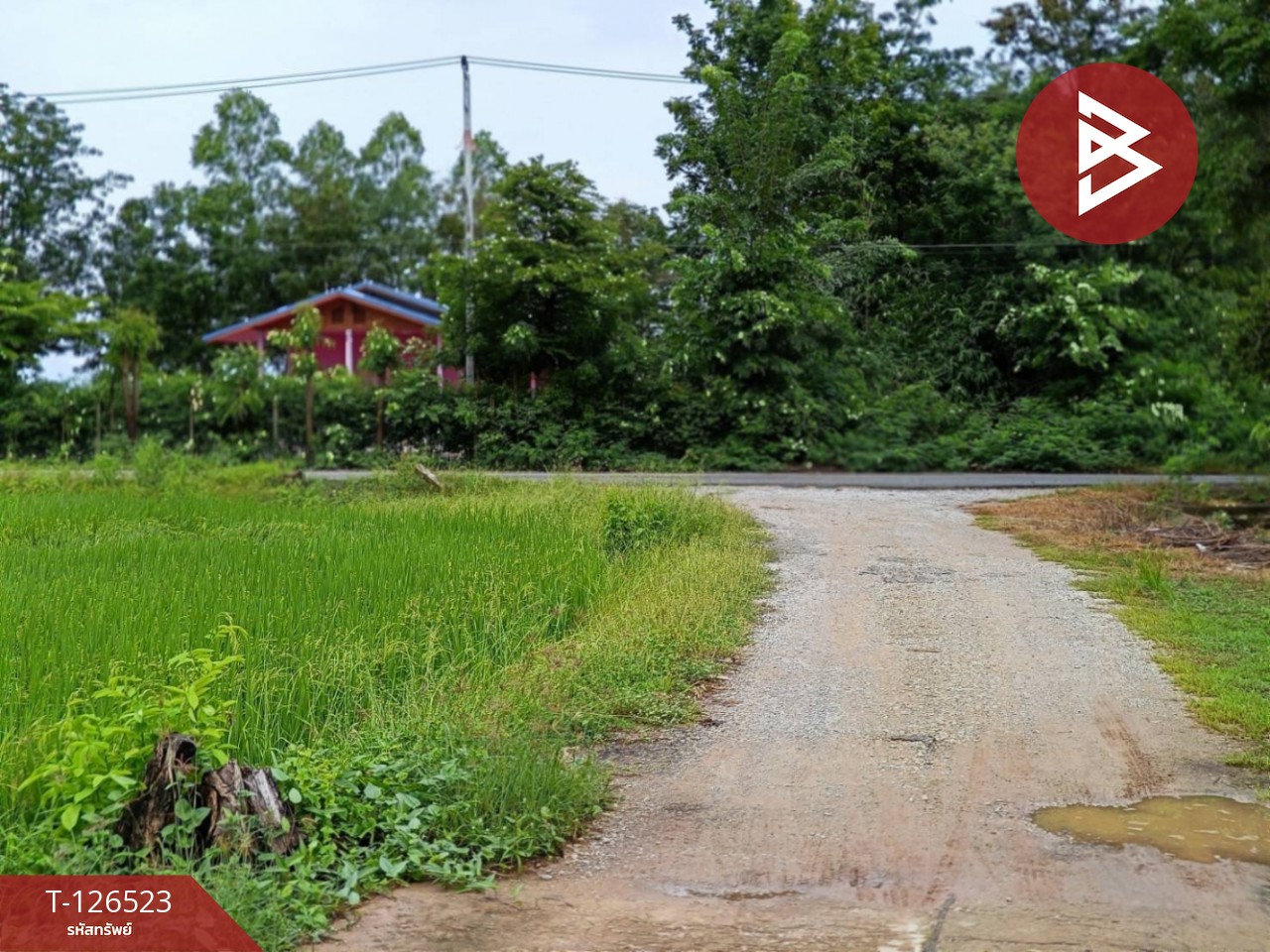 ขายที่ดินพร้อมสิ่งปลูกสร้าง เนื้อที่ 2 ไร่ 3 งาน 50 ตร.วา หนองฉาง อุทัยธานี 11