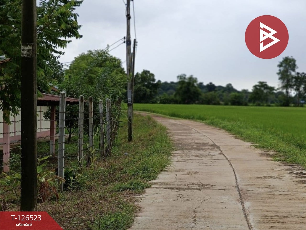 ขายที่ดินพร้อมสิ่งปลูกสร้าง เนื้อที่ 2 ไร่ 3 งาน 50 ตร.วา หนองฉาง อุทัยธานี 1