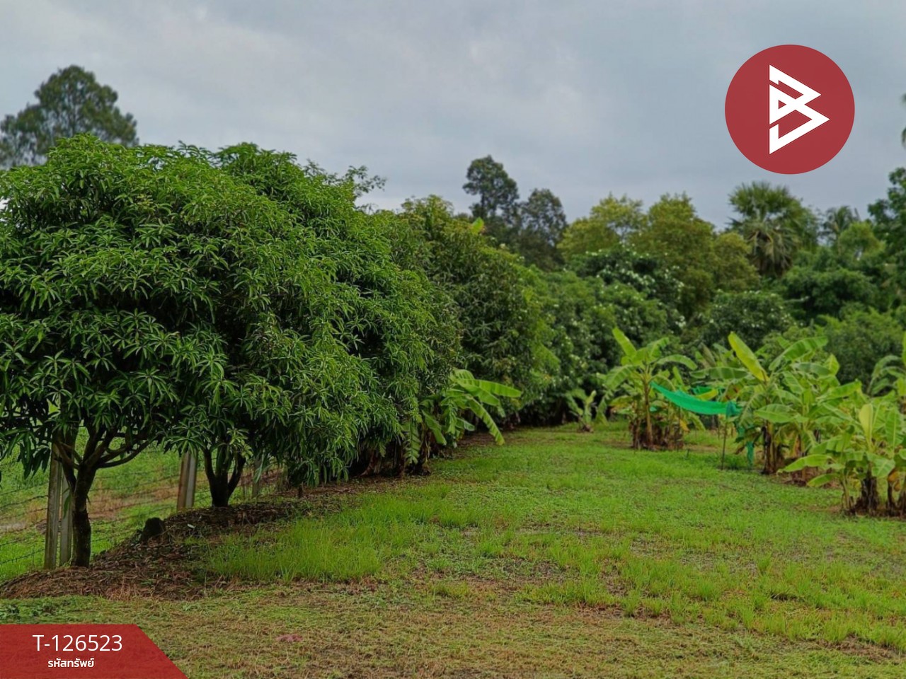 ขายที่ดินพร้อมสิ่งปลูกสร้าง เนื้อที่ 2 ไร่ 3 งาน 50 ตร.วา หนองฉาง อุทัยธานี 5