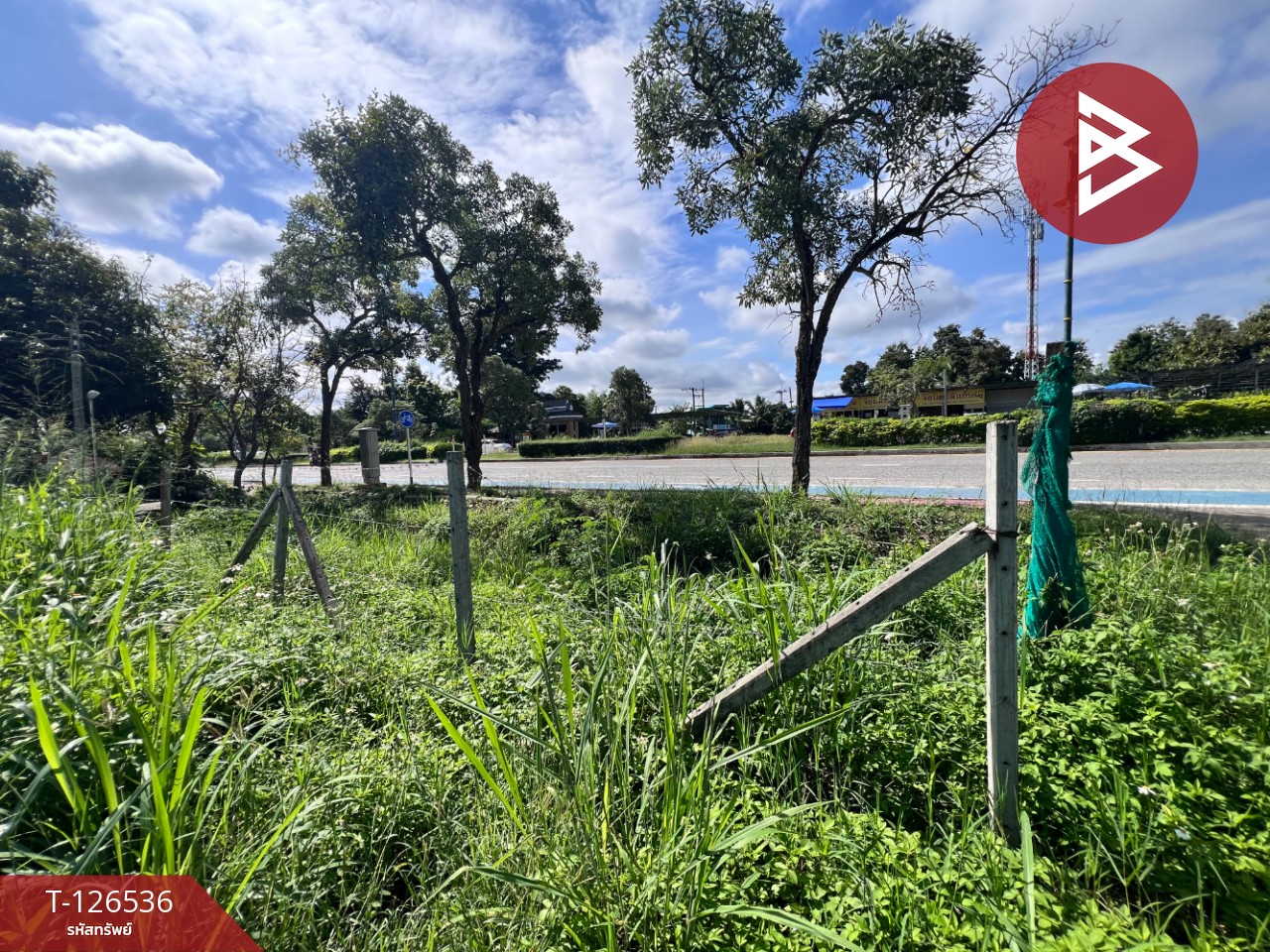 ขายที่ดินเปล่า เนื้อที่ 98 ตร.วา หางดง เชียงใหม่ 4