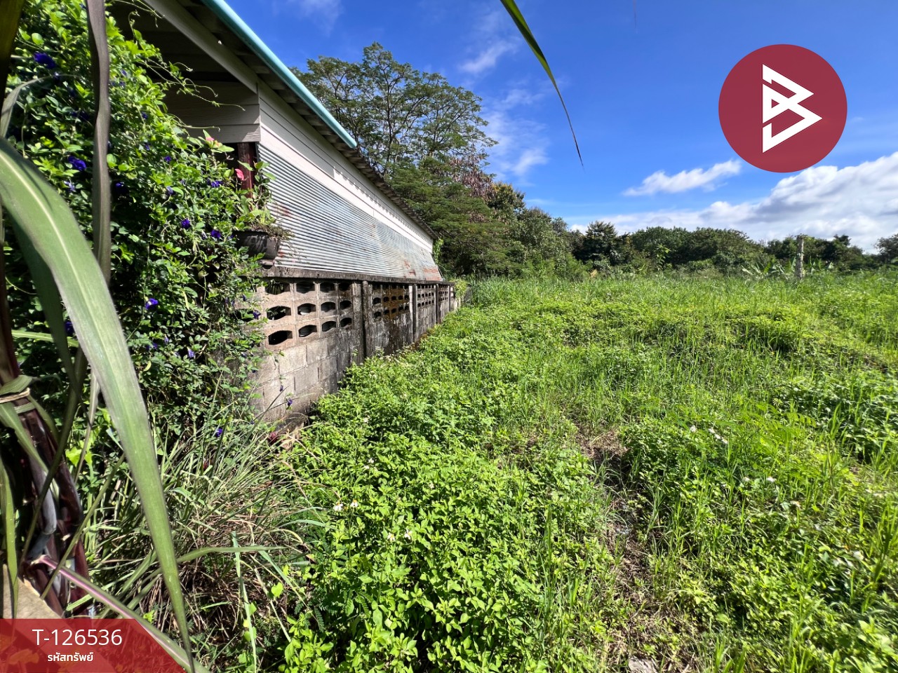 ขายที่ดินเปล่า เนื้อที่ 98 ตร.วา หางดง เชียงใหม่ 3