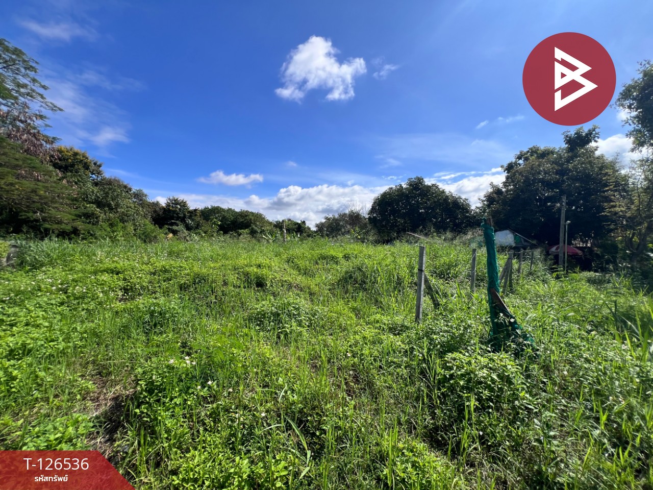 ขายที่ดินเปล่า เนื้อที่ 98 ตร.วา หางดง เชียงใหม่ 1