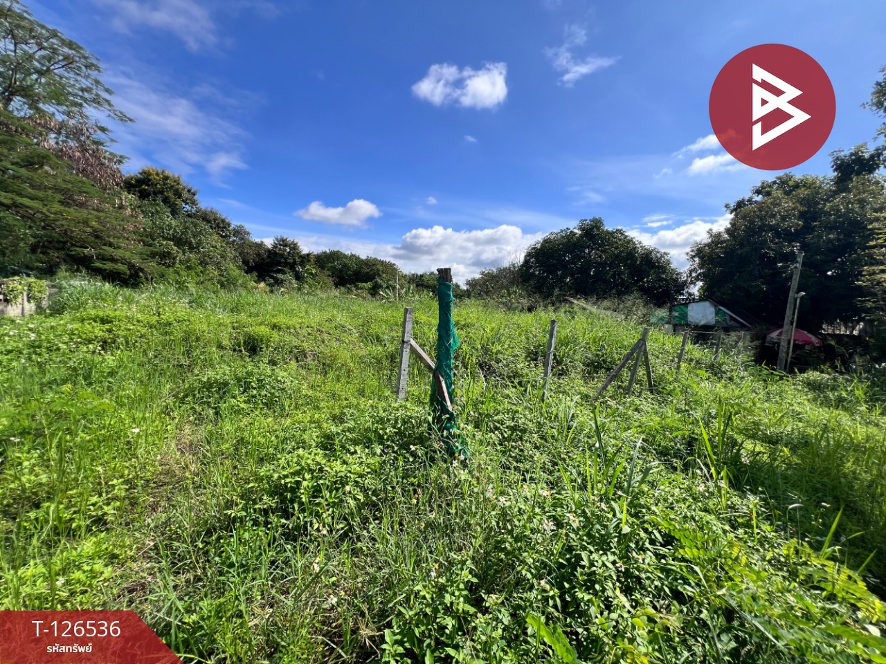 ขายที่ดินเปล่า เนื้อที่ 98 ตร.วา หางดง เชียงใหม่ 2