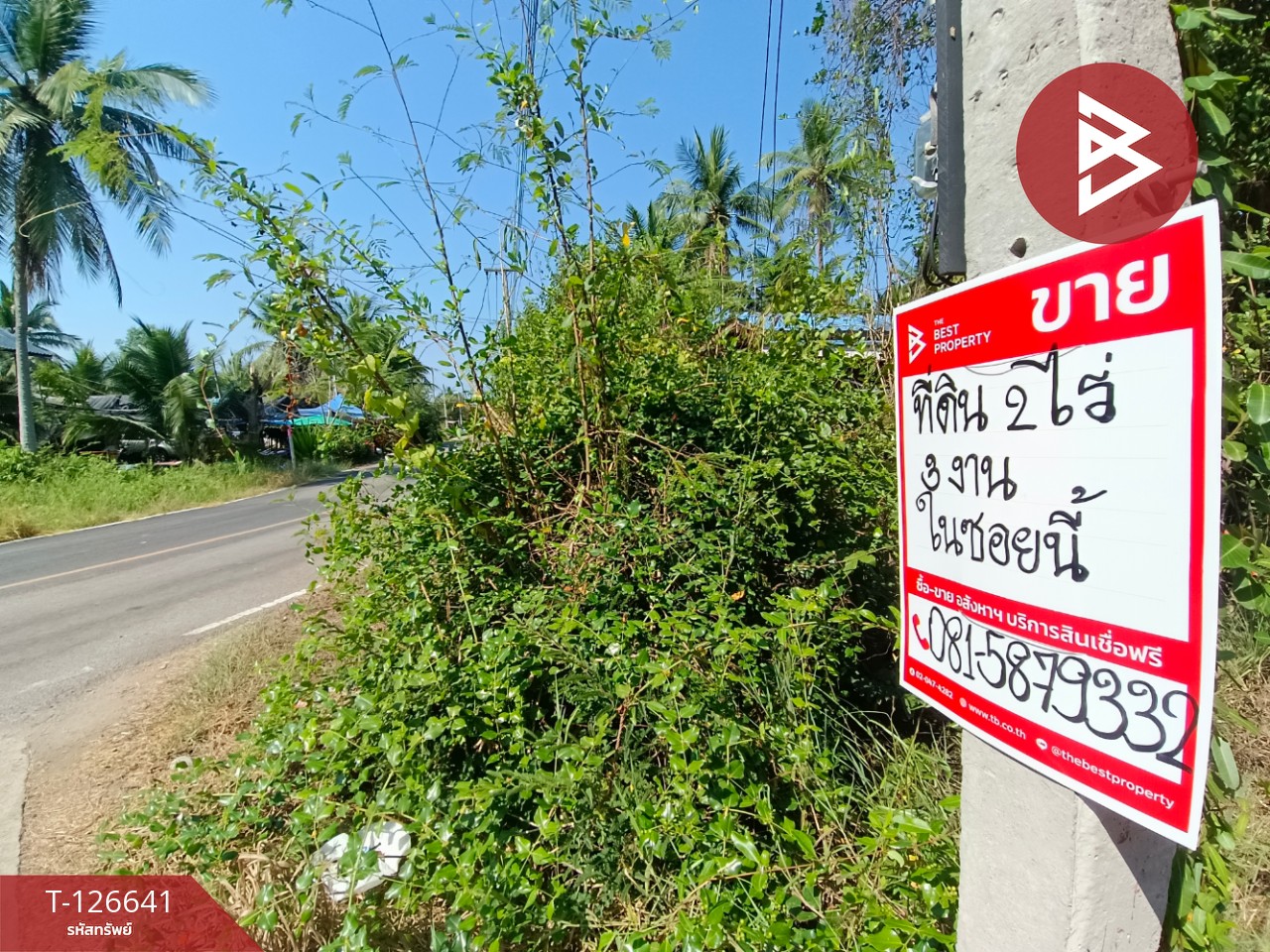 ขายที่ดินเปล่า เนื้อที่ 2 ไร่ 3 งาน นางตะเคียน สมุทรสงคราม 13