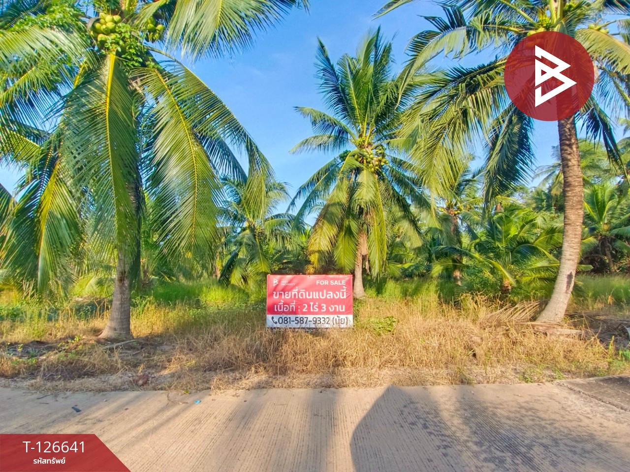 ขายที่ดินเปล่า เนื้อที่ 2 ไร่ 3 งาน นางตะเคียน สมุทรสงคราม 1