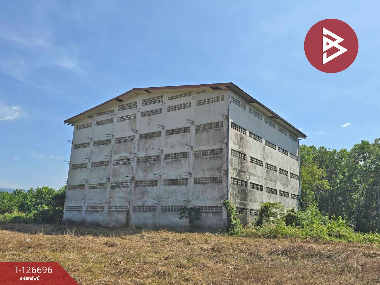 ขายที่ดิน เนื้อที่ 3 ไร่ 2 งาน 30 ตร.วา ท่าช้าง จันทบุรี 4