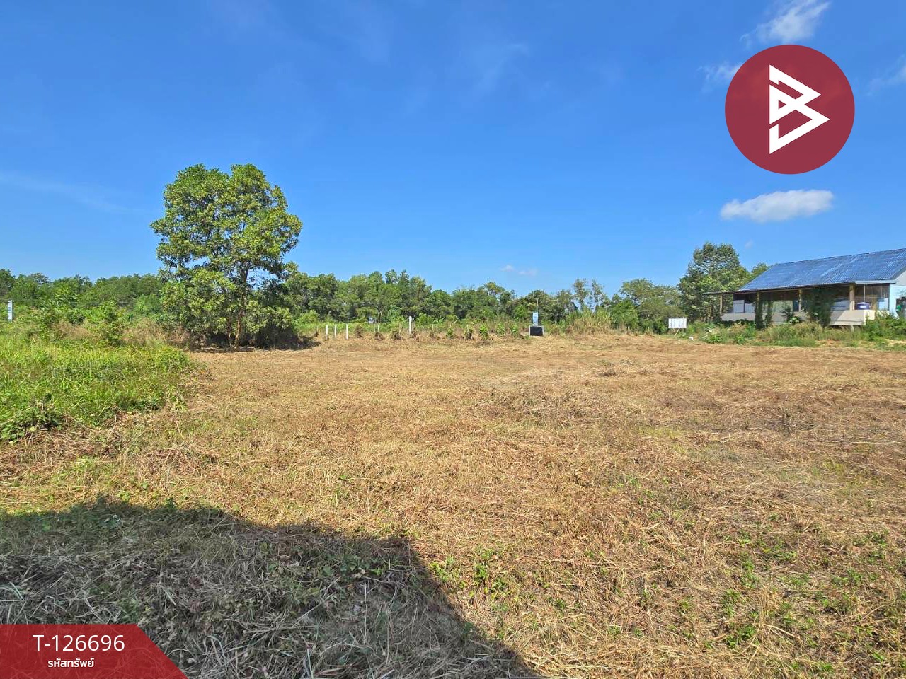 ขายที่ดิน เนื้อที่ 3 ไร่ 2 งาน 30 ตร.วา ท่าช้าง จันทบุรี 9