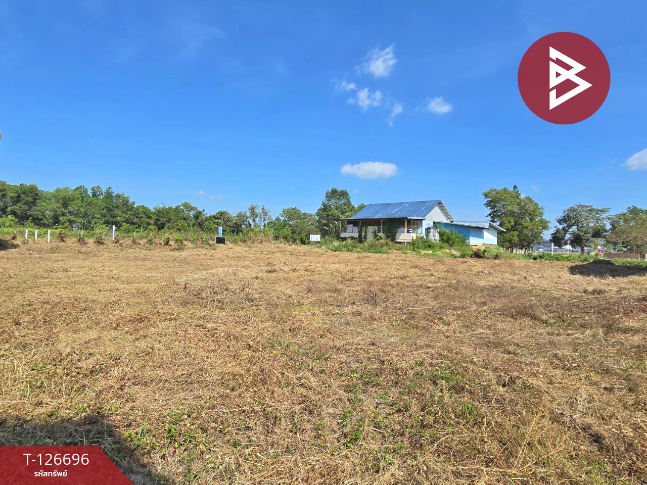 ขายที่ดิน เนื้อที่ 3 ไร่ 2 งาน 30 ตร.วา ท่าช้าง จันทบุรี 8